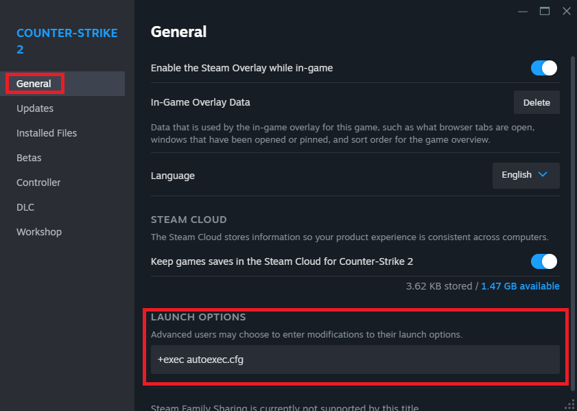 Counter-Strike 2 (CS2) launch options